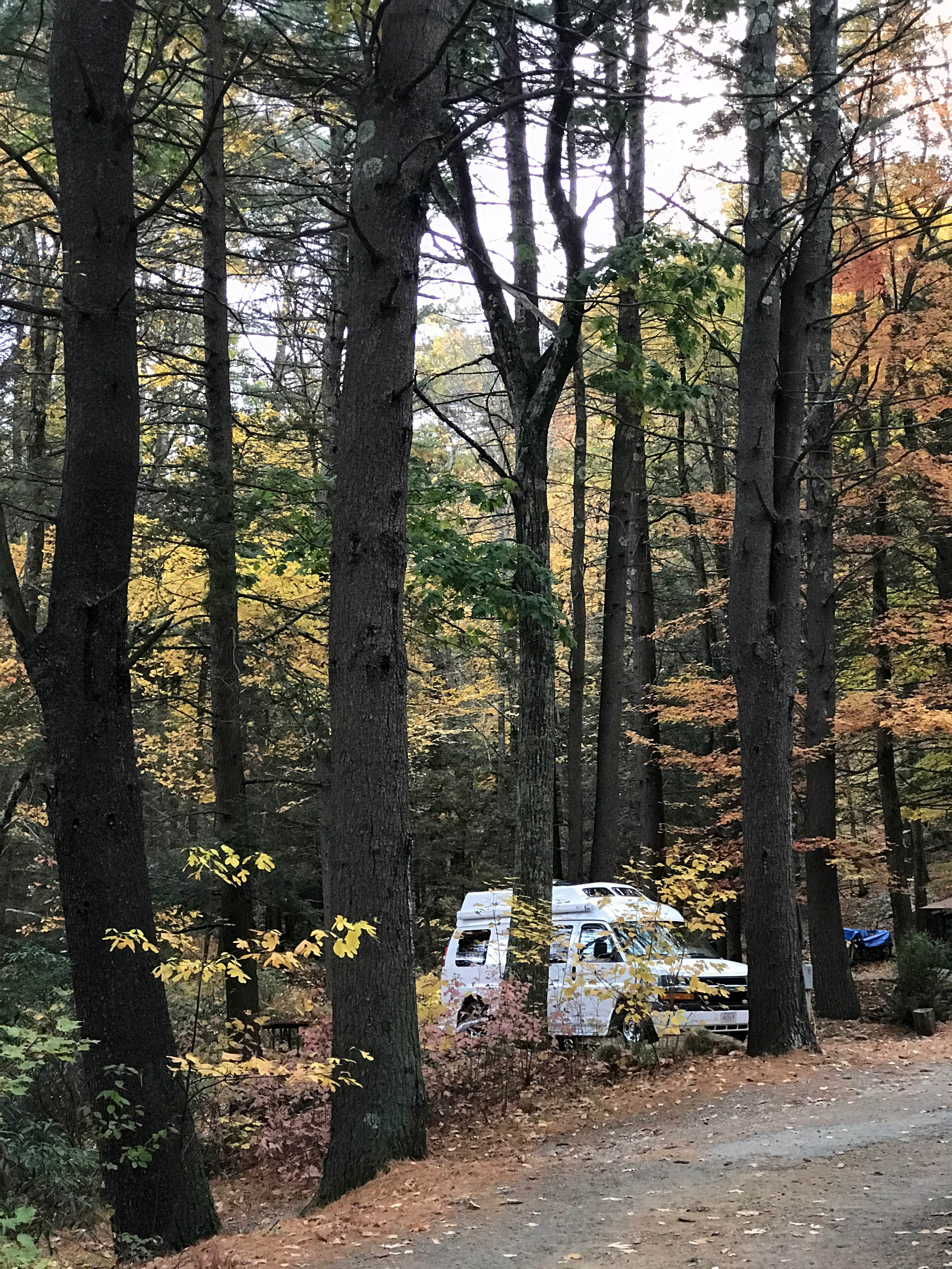 Mara S.'s photo of rv camping at Thousand Trails Sturbridge near Chesterfield, MA