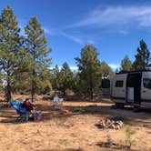Review photo of Tom Best Spring Road FR117 Dispersed - Dixie National Forest by Meg G., October 20, 2020
