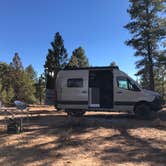Review photo of Tom Best Spring Road FR117 Dispersed - Dixie National Forest by Meg G., October 20, 2020