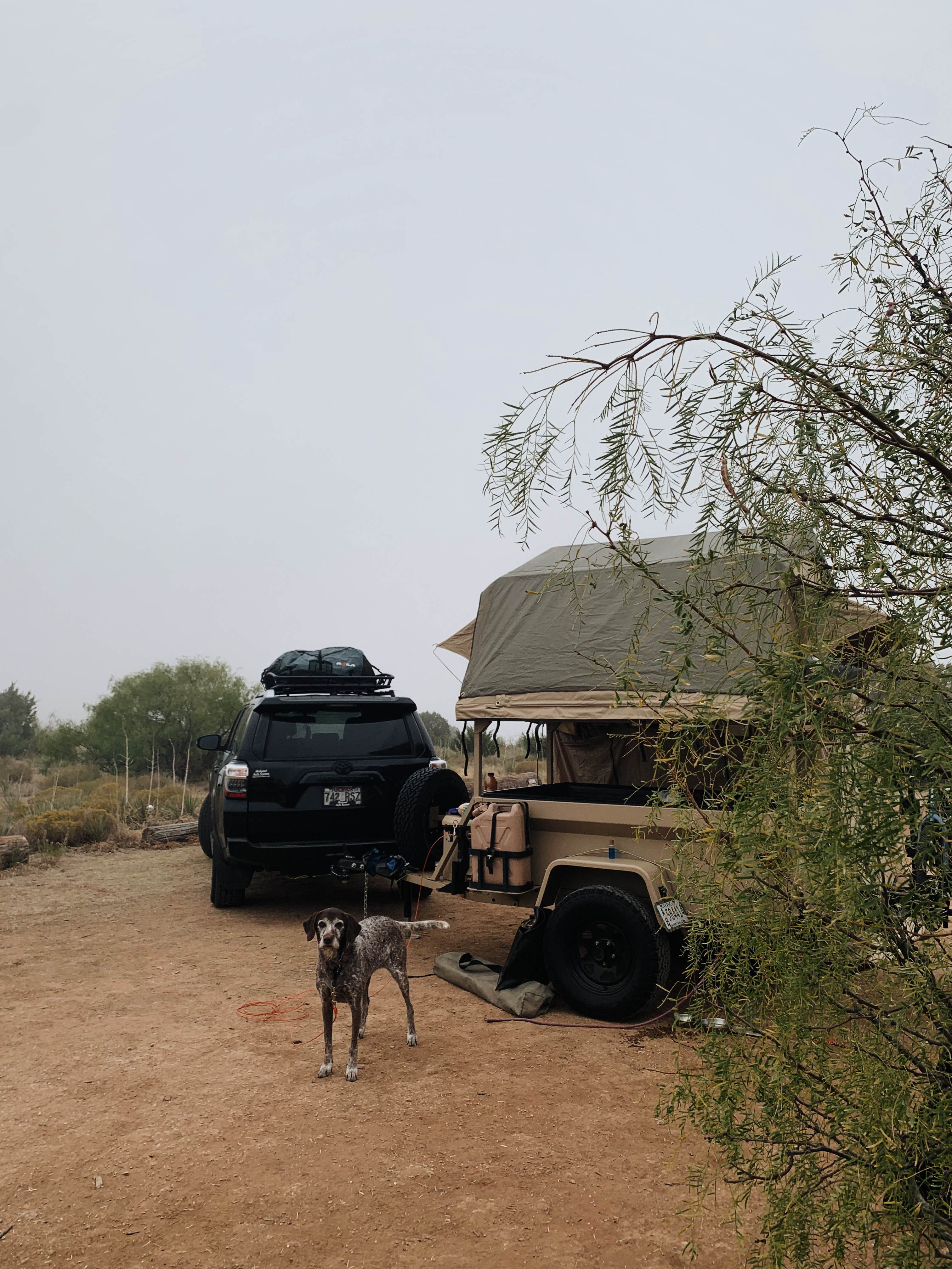 Ryan M.'s photo of camping with pets at Canyon Rim RV Park and Campground - CLOSED near Fritch, TX