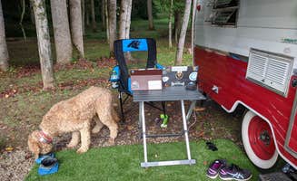 Ron P.'s photo of camping with pets at Byrd's Branch Campground near Blue Ridge Parkway