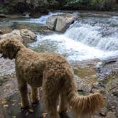 Review photo of Byrd's Branch Campground by Ron P., October 21, 2020