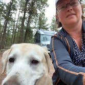 Review photo of Peregrine Pines FamCamp by RichMichelle M., October 21, 2020