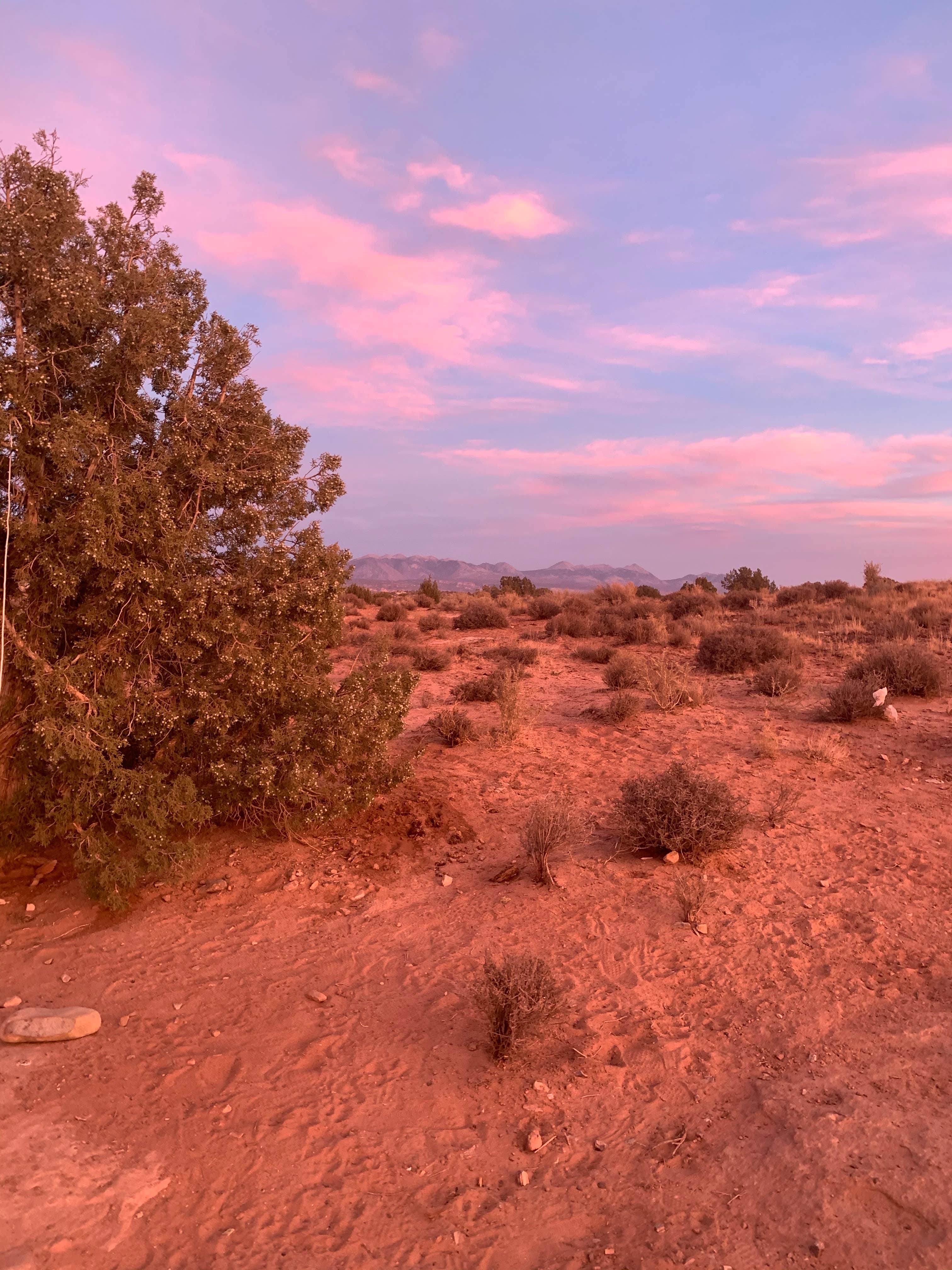 BLM Dispersed Camping Outside Of Moab The Dyrt   Blm Dispersed Camping Outside Of Moab 7595fda9 A315 4b12 B758 884125ef212a.heic