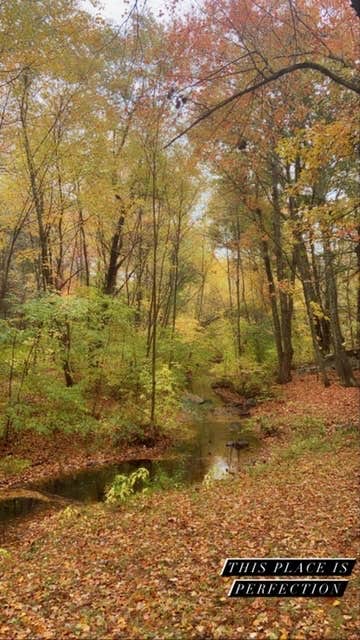 Camper-submitted photo at Sunfox Campground near Stonington, CT