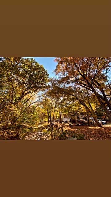 Camper-submitted photo at Sunfox Campground near Stonington, CT