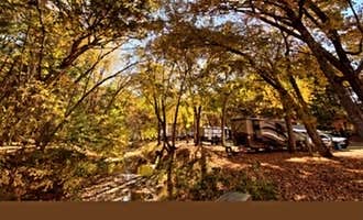 Camping near Odetah Camping Resort: Sunfox Campground, Versailles, Connecticut