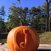 Review photo of Normandy Farms Campground by Andrew P., October 21, 2020