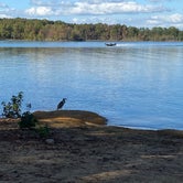 Review photo of Hibernia — Kerr Lake State Recreation Area by Susan M., October 21, 2020