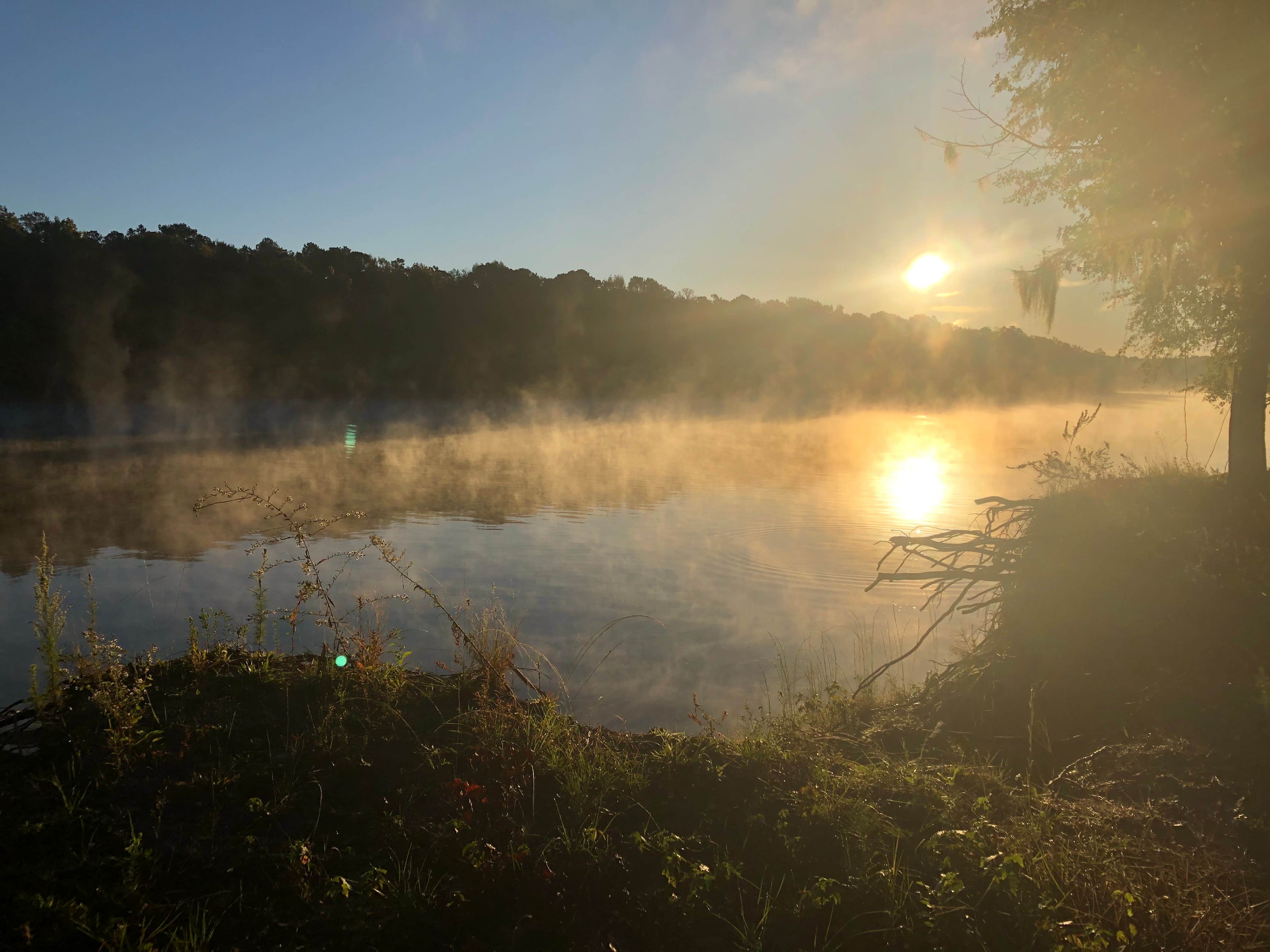 Camper submitted image from COE Coffeeville Lake Service Campground - 2