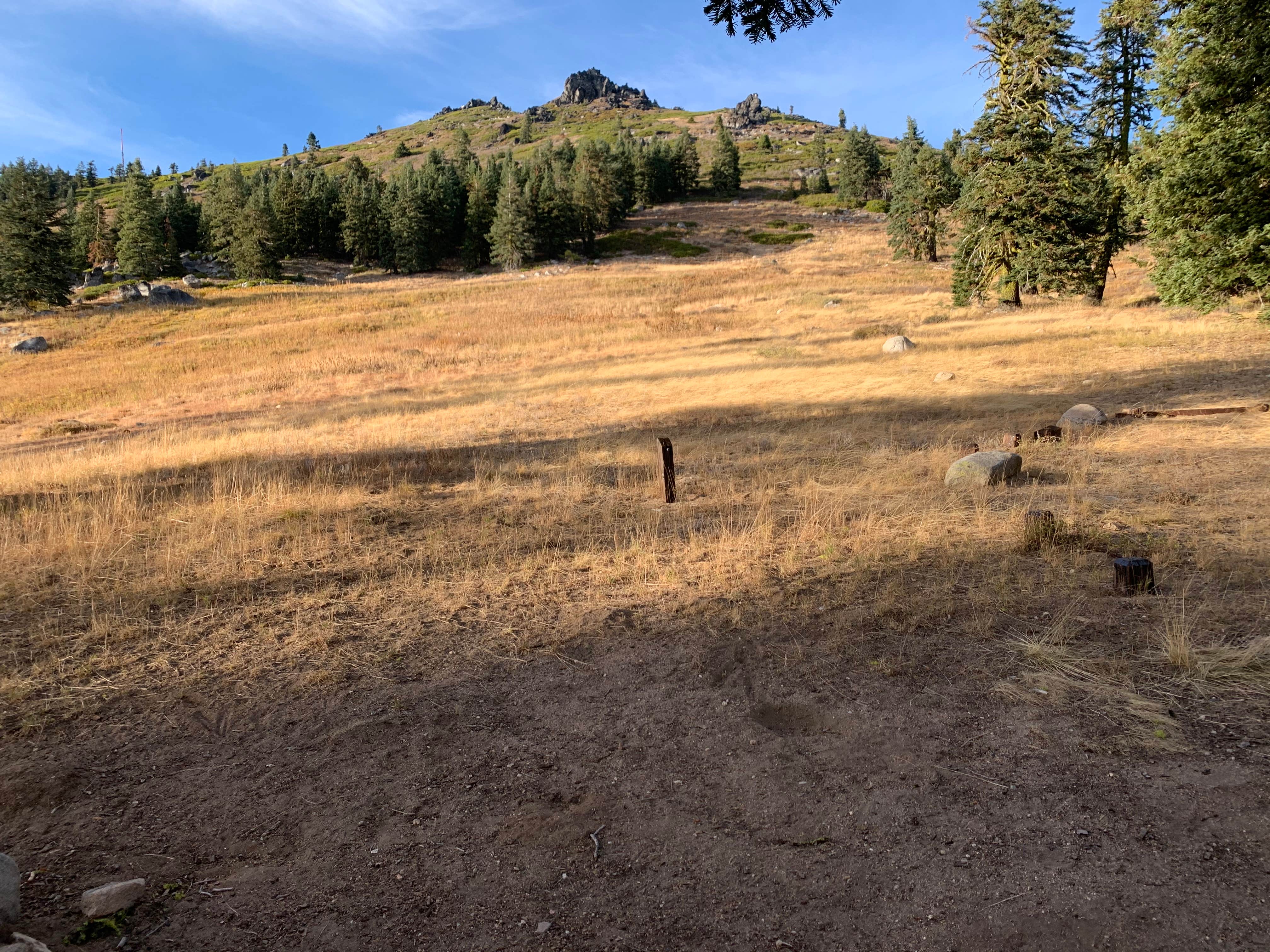 Camper submitted image from Mount Ashland Campground - 3