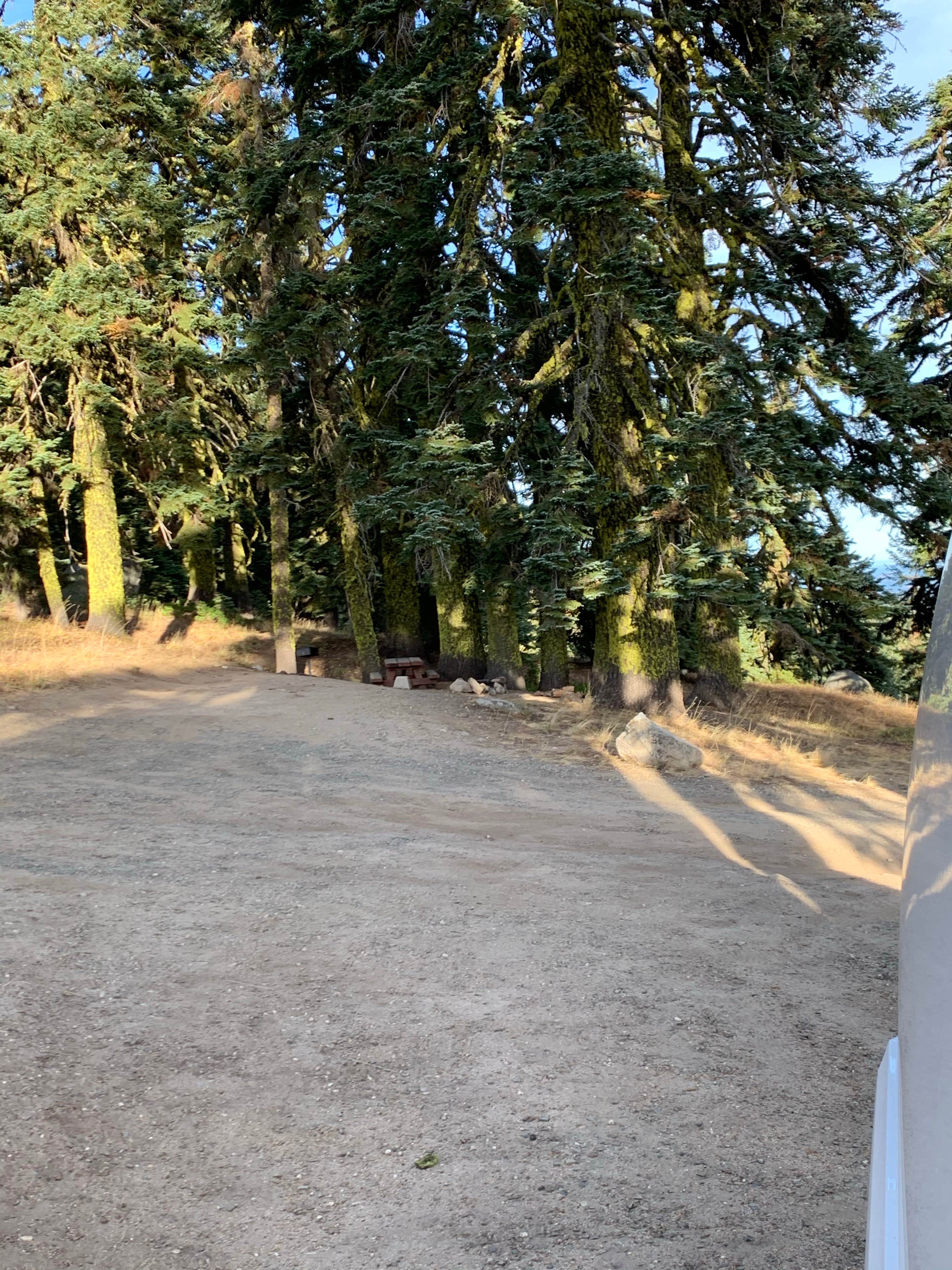 Camper-submitted photo at Mount Ashland Campground near White City, OR