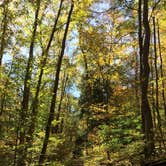 Review photo of Kentuck Campground — Ohiopyle State Park by James P., October 21, 2020