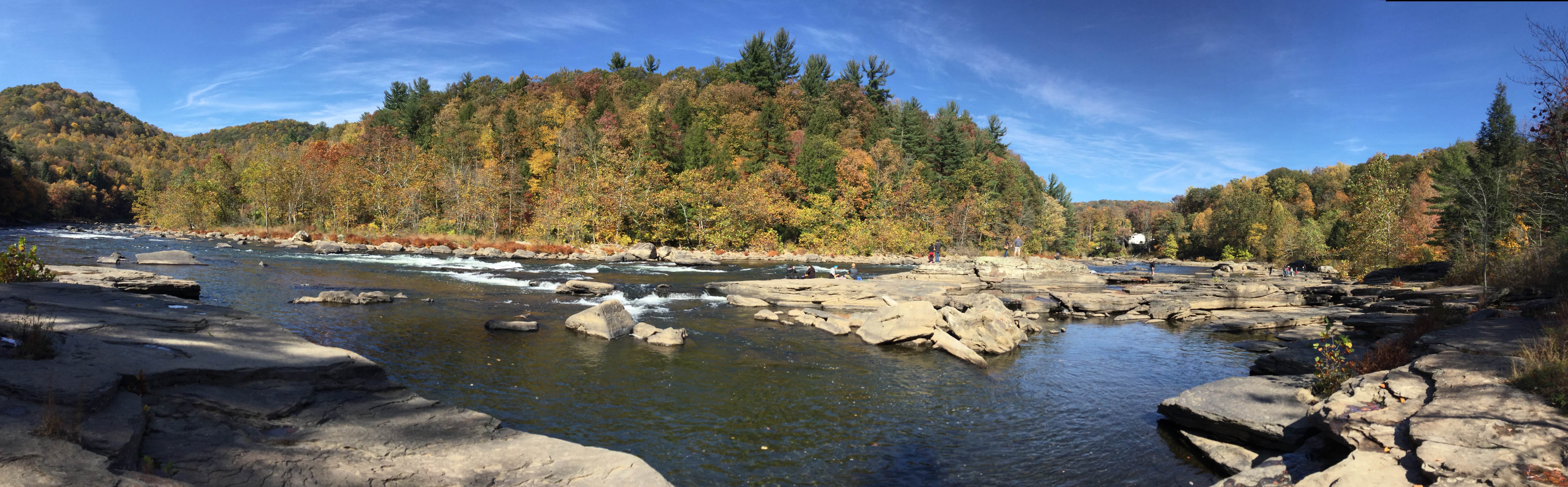 View All
