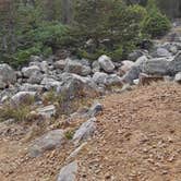 Review photo of North Fork Campground by Donna H., October 21, 2020