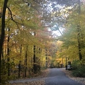 Review photo of High Cliff State Park Campground by Nancy  S., October 20, 2020