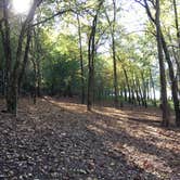 Review photo of Glade Creek Campground — New River Gorge National Park and Preserve by Ry M., October 21, 2020