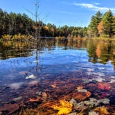 Review photo of Kingston Lake State Forest by Shari  G., October 21, 2020