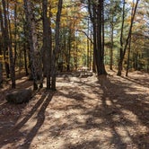 Review photo of Kingston Lake State Forest by Shari  G., October 21, 2020