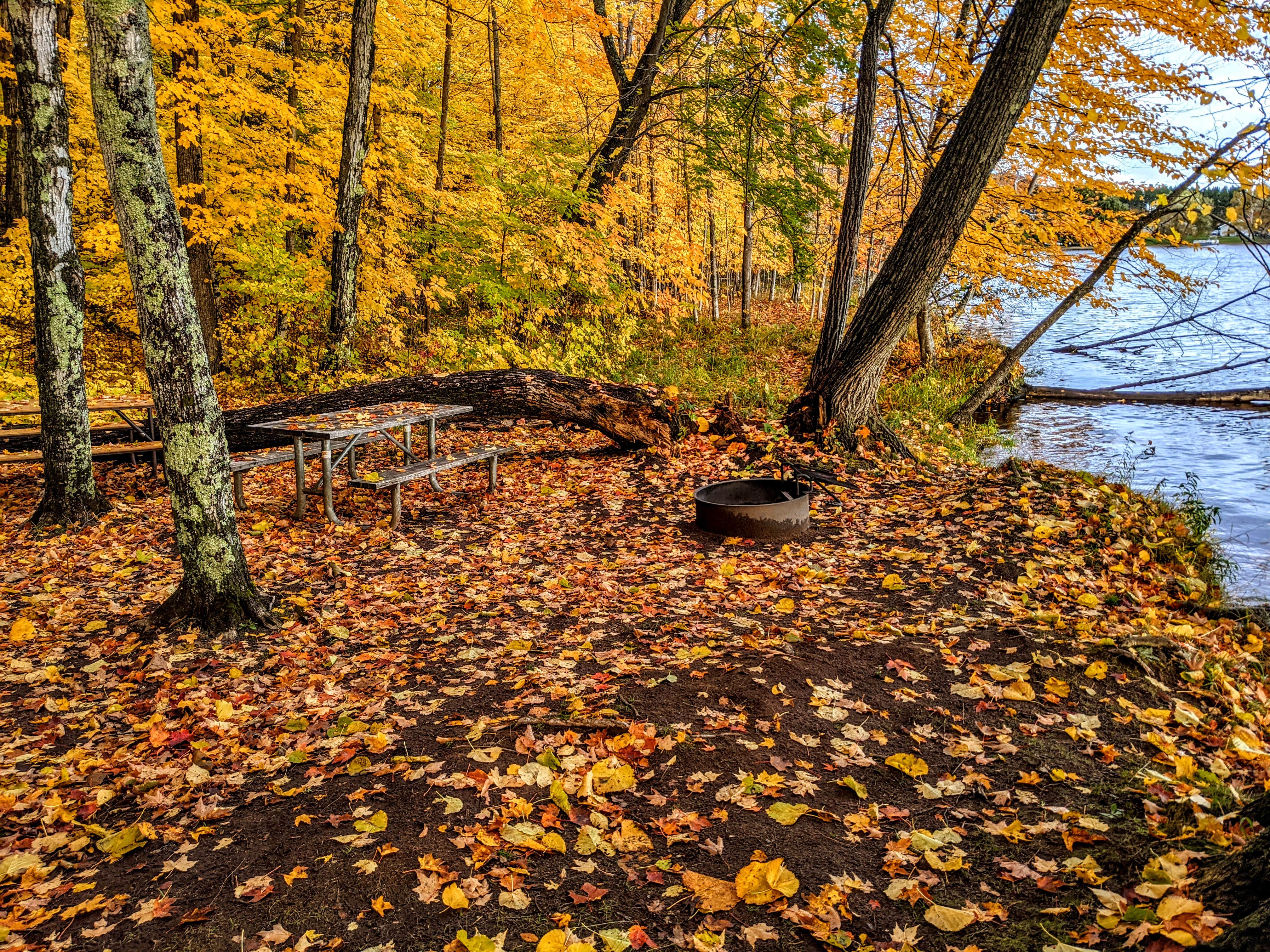 Camper submitted image from Perkins Park & Campground - 2