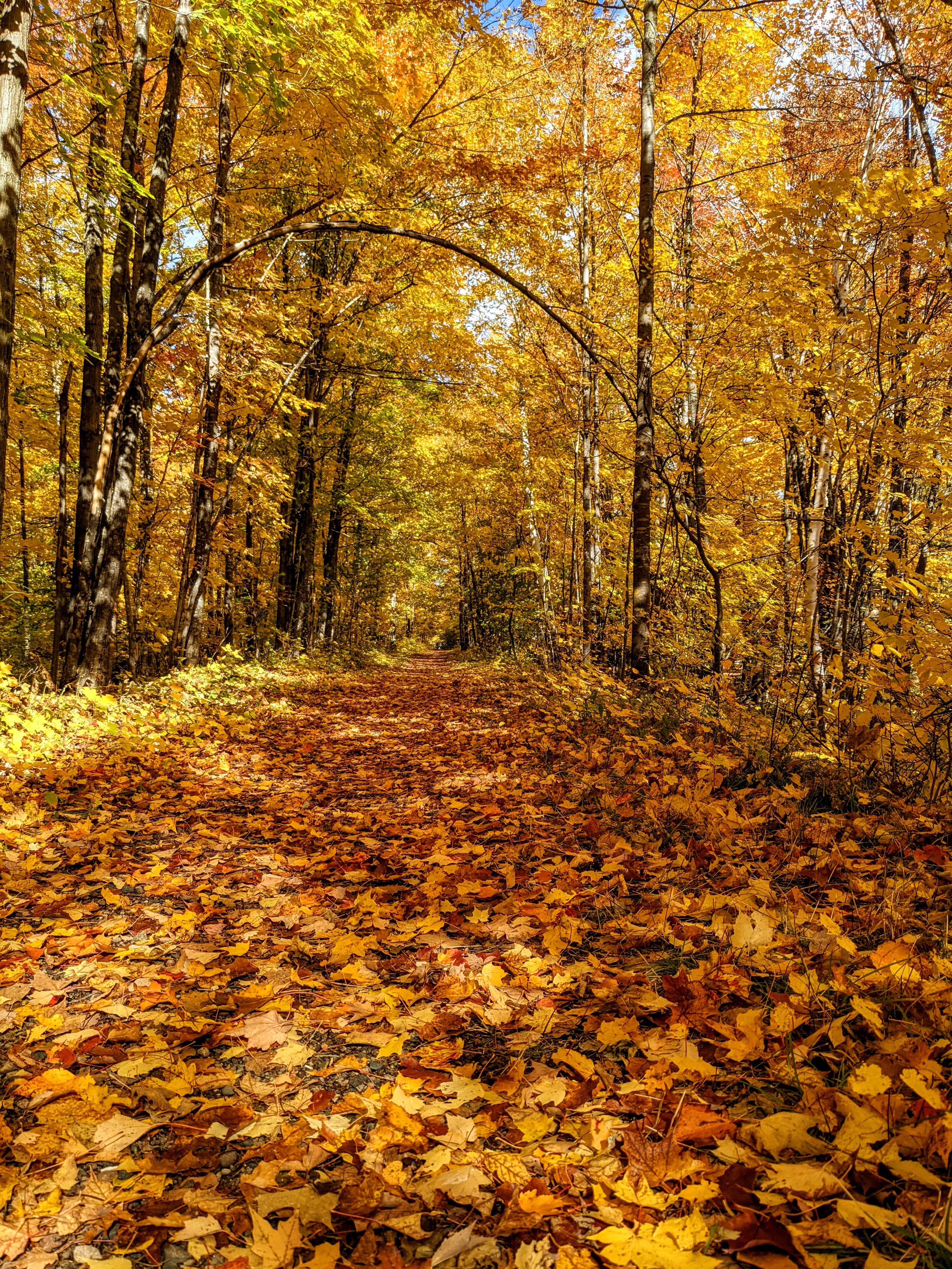 Camper-submitted photo at Perkins Park & Campground near Big Bay, MI