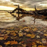 Review photo of Perkins Park & Campground by Shari  G., October 21, 2020