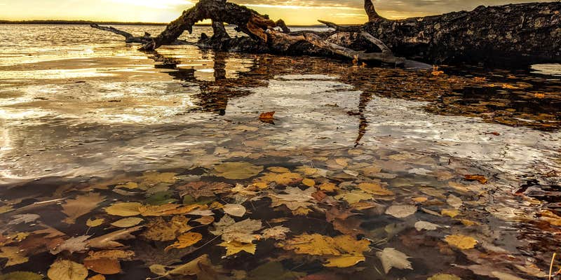 Camper submitted image from Perkins Park & Campground