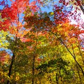 Review photo of Fisherman's Island State Park Campground by Shari  G., October 21, 2020