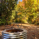 Review photo of Fisherman's Island State Park Campground by Shari  G., October 21, 2020