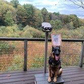 Review photo of The West Woods by Kayla S., October 21, 2020