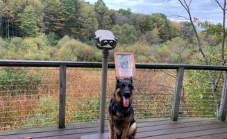 Kayla S.'s photo of camping with pets at The West Woods near Michael J Kirwan Lake