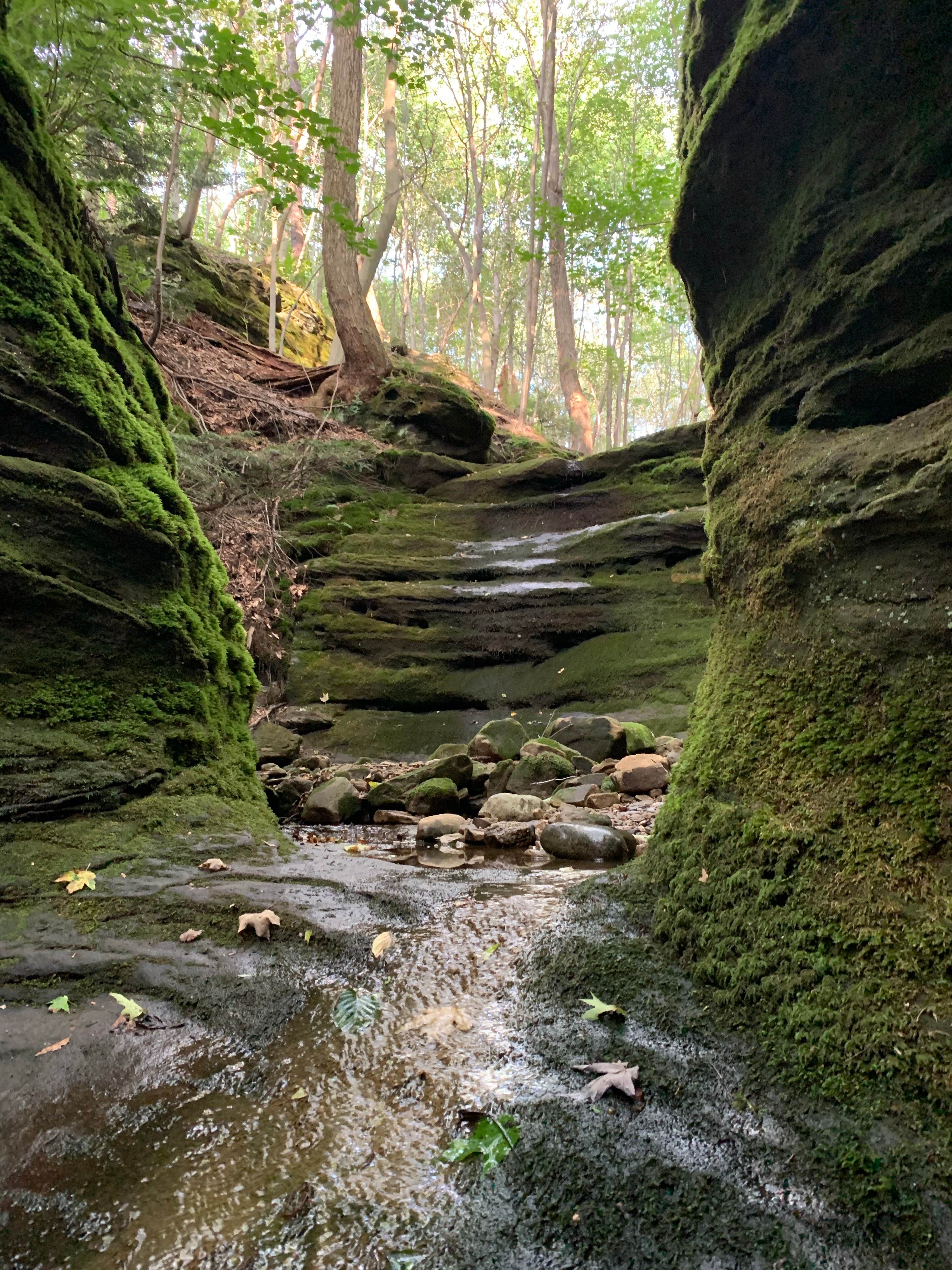 Camper-submitted photo at The West Woods near Wadsworth, OH