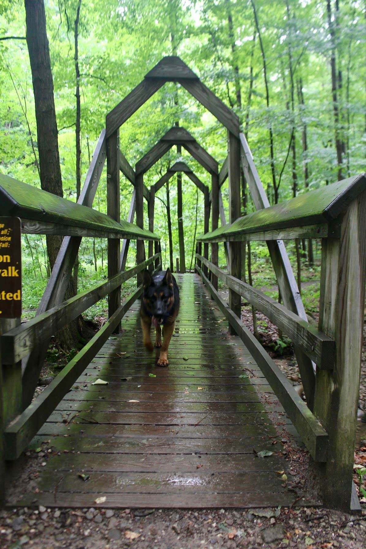 Camper-submitted photo at The West Woods near Wadsworth, OH