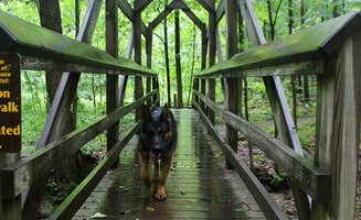 Kayla S.'s photo of camping with pets at The West Woods near Geneva-on-the-Lake, OH