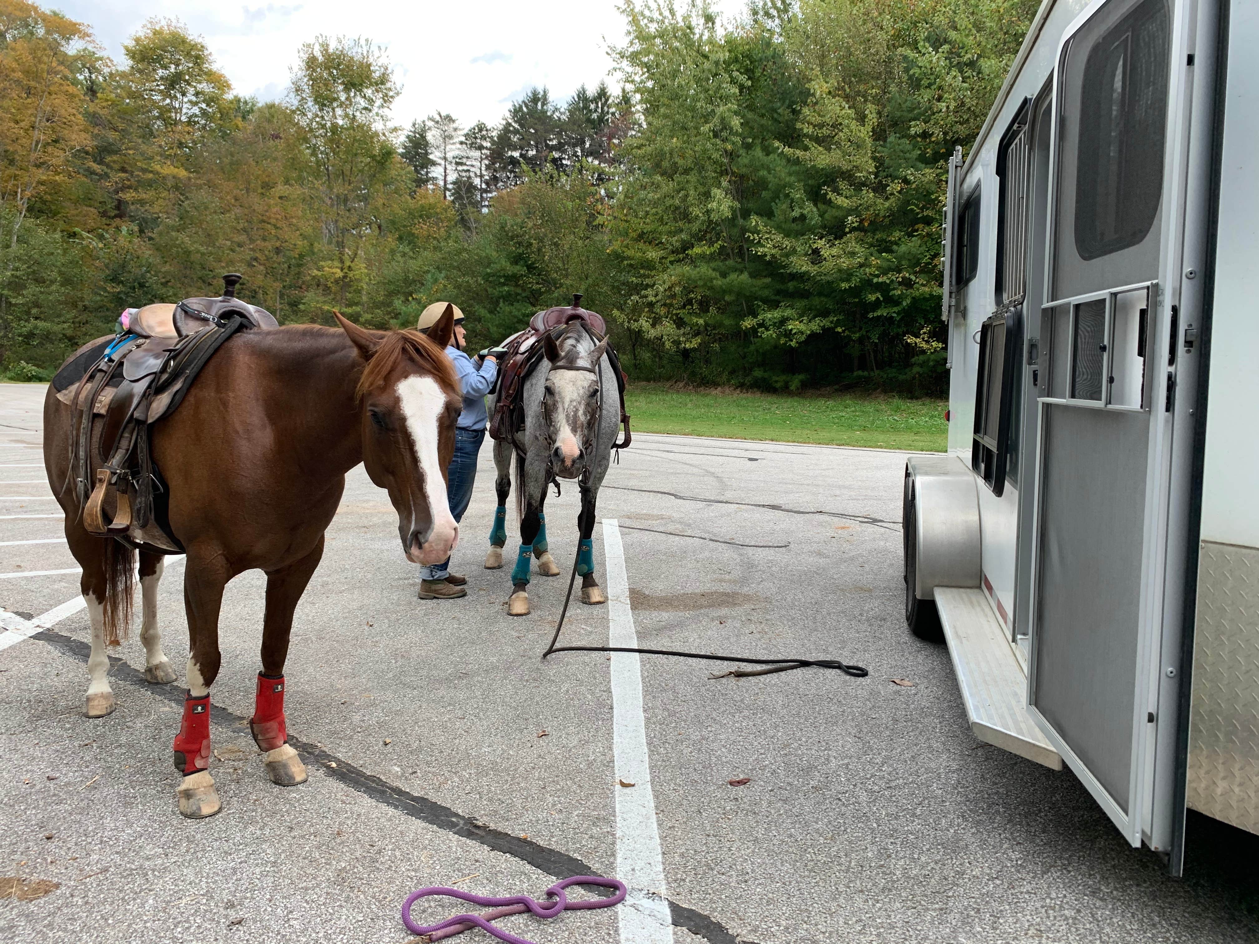 Camper-submitted photo at The West Woods near Wadsworth, OH