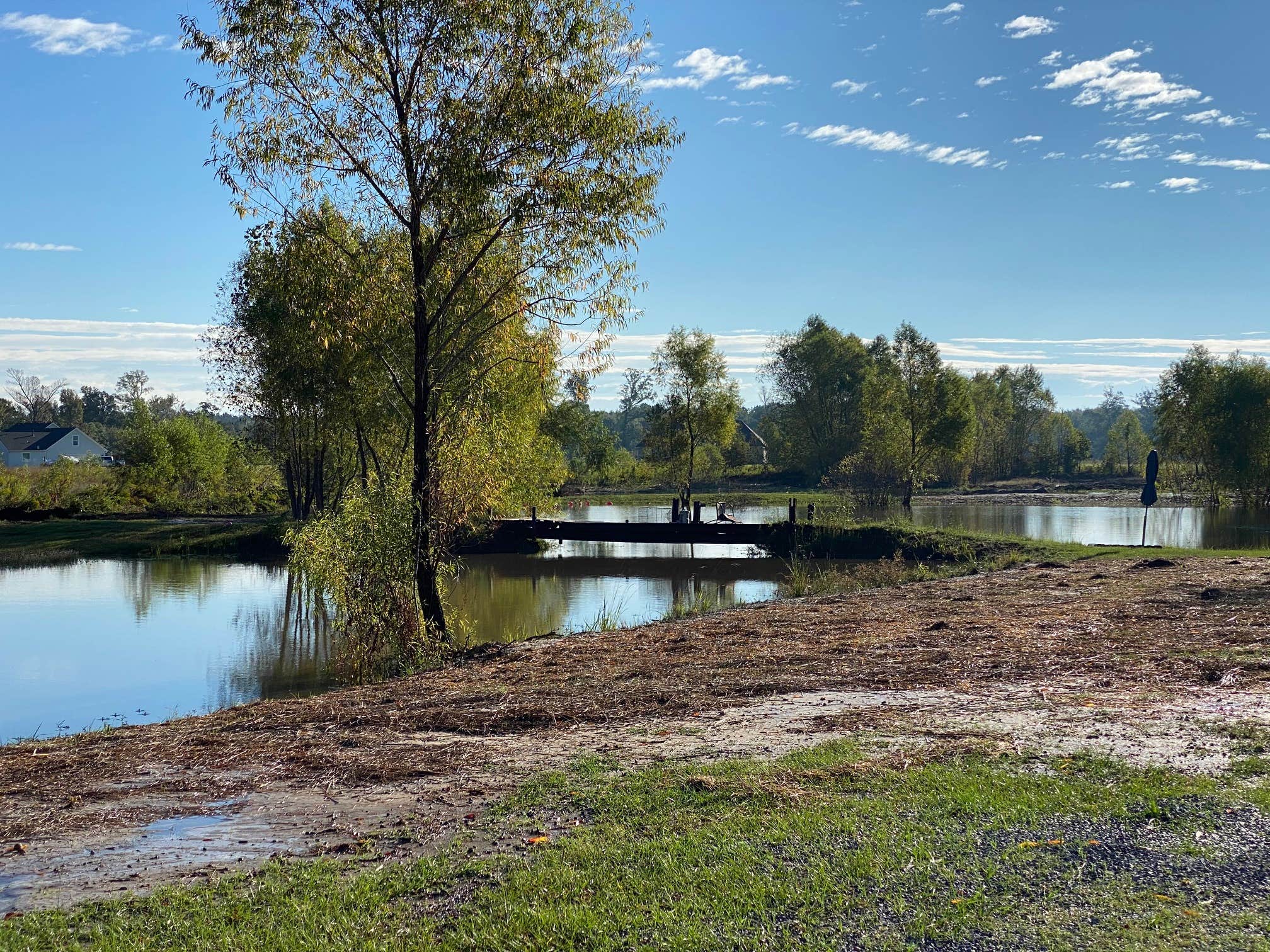 Camper-submitted photo at The Trailerhood at Sumrall Farm near Elm Grove, LA