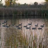 Review photo of St. Vrain State Park Campground by Jill J., October 21, 2020