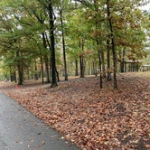 Review photo of Lakeview Park by Wayne P., October 21, 2020