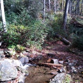 Review photo of Black Mountain Campground by Anna R., October 21, 2020