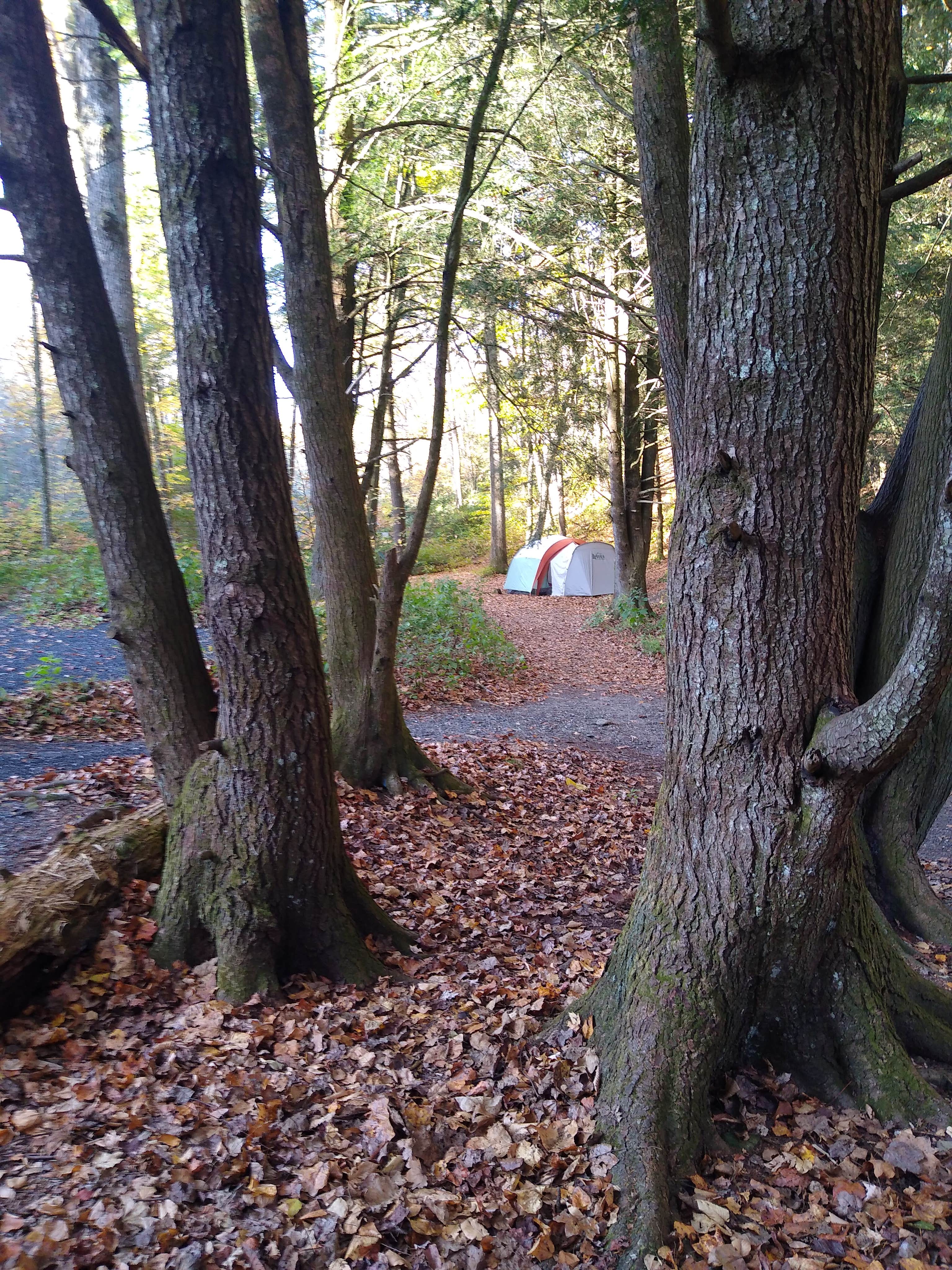 Anna R.'s photo at Black Mountain Campground - CLOSED INDEFINITELY near Old Fort, NC