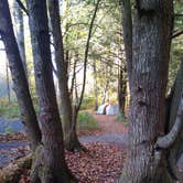 Review photo of Black Mountain Campground by Anna R., October 21, 2020