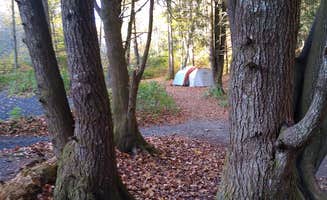 Anna R.'s photo at Black Mountain Campground - CLOSED INDEFINITELY near Montreat, NC