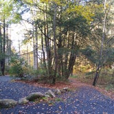 Review photo of Black Mountain Campground by Anna R., October 21, 2020