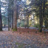 Review photo of Black Mountain Campground by Anna R., October 21, 2020