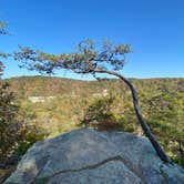 Review photo of Fall Creek Falls State Park Campground by Lucas J., October 21, 2020
