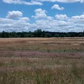 Review photo of Champoeg State Heritage Area Campground by Leslie C., May 21, 2018