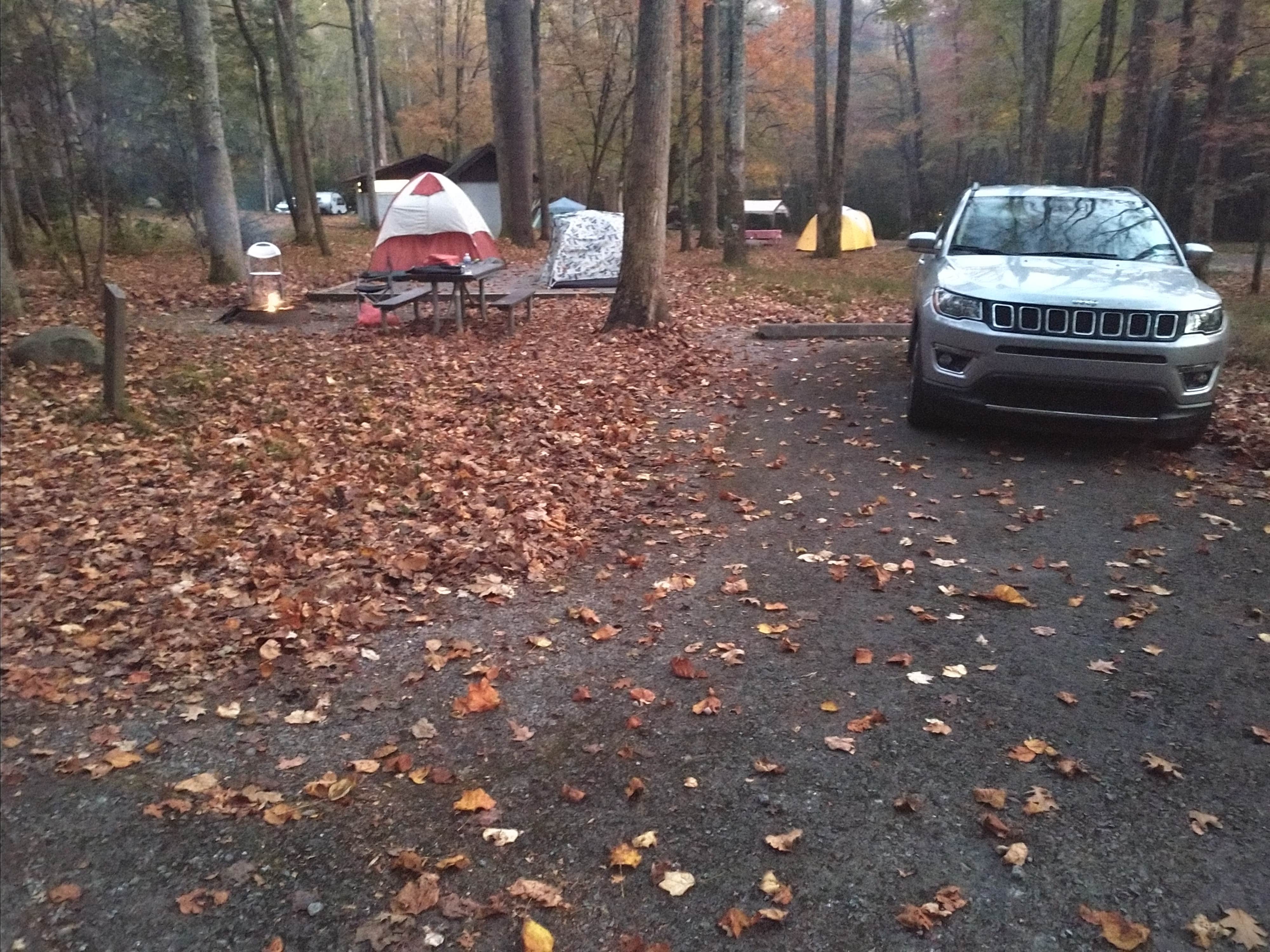 Evan G.'s photo at Elkmont Campground — Great Smoky Mountains National Park near Great Smoky Mountains National Park
