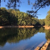 Review photo of Red Top Mountain State Park Campground by Yen-Ting C., October 22, 2020