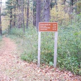 Review photo of Mauthe Lake Campground — Kettle Moraine State Forest-Northern Unit-Iansr by Adam E., October 22, 2020