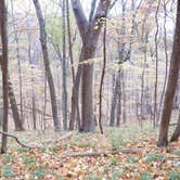 Review photo of Mauthe Lake Campground — Kettle Moraine State Forest-Northern Unit-Iansr by Adam E., October 22, 2020